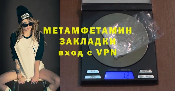 индика Новодвинск