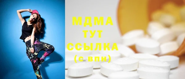 индика Новодвинск