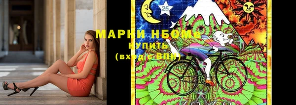 индика Новодвинск