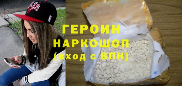 индика Новодвинск