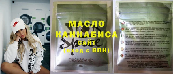 индика Новодвинск