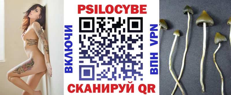 Псилоцибиновые грибы Psilocybine cubensis Приволжский